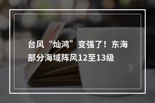 台风“灿鸿”变强了！东海部分海域阵风12至13级