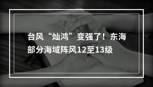 台风“灿鸿”变强了！东海部分海域阵风12至13级