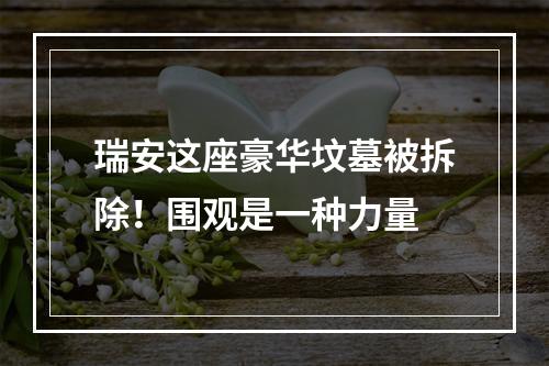 瑞安这座豪华坟墓被拆除！围观是一种力量