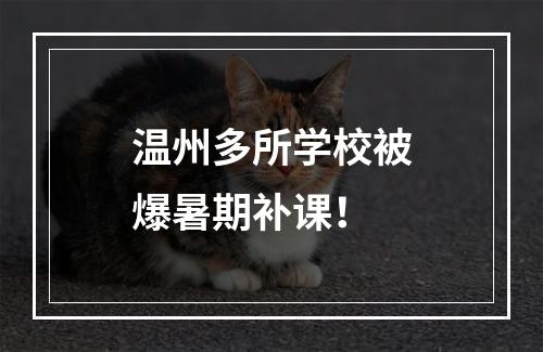 温州多所学校被爆暑期补课！