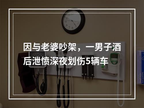 因与老婆吵架，一男子酒后泄愤深夜划伤5辆车