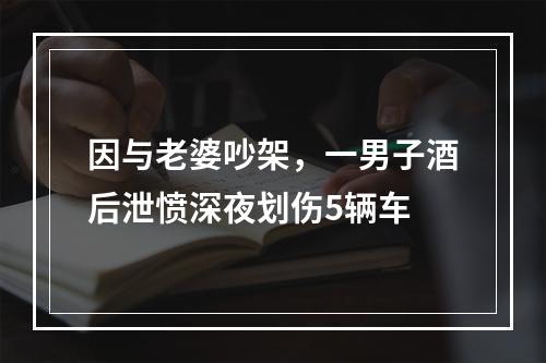 因与老婆吵架，一男子酒后泄愤深夜划伤5辆车