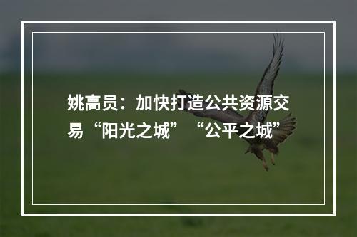 姚高员：加快打造公共资源交易“阳光之城”“公平之城”