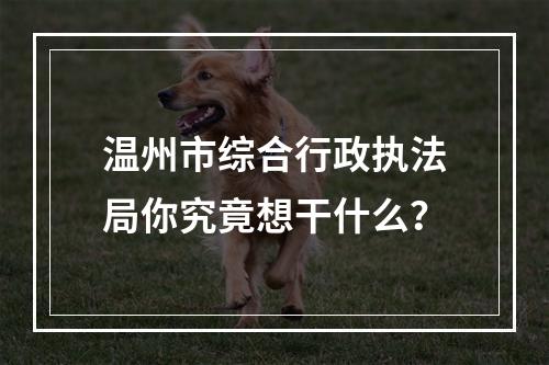 温州市综合行政执法局你究竟想干什么？