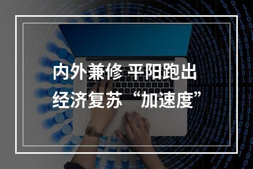 内外兼修 平阳跑出经济复苏“加速度”