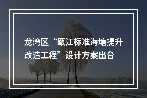 龙湾区“瓯江标准海塘提升改造工程”设计方案出台