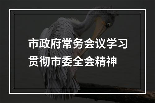 市政府常务会议学习贯彻市委全会精神