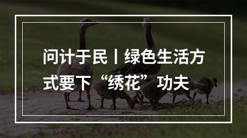 问计于民丨绿色生活方式要下“绣花”功夫