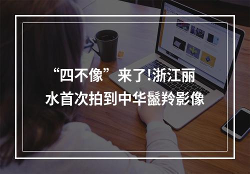 “四不像”来了!浙江丽水首次拍到中华鬣羚影像