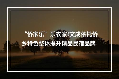 “侨家乐”乐农家!文成依托侨乡特色整体提升精品民宿品牌