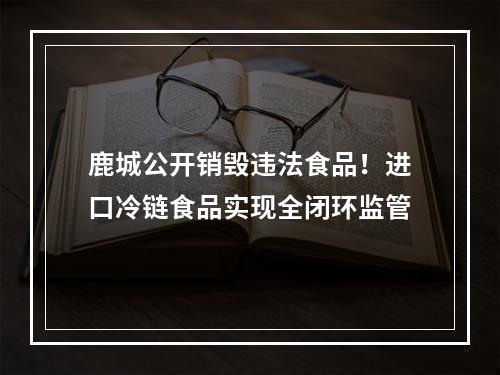 鹿城公开销毁违法食品！进口冷链食品实现全闭环监管
