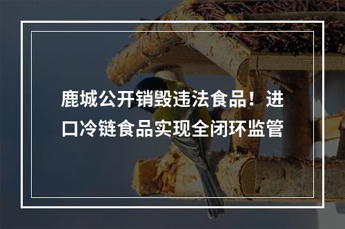 鹿城公开销毁违法食品！进口冷链食品实现全闭环监管