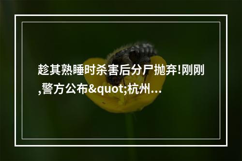 趁其熟睡时杀害后分尸抛弃!刚刚,警方公布"杭州女子失踪案"侦破详情