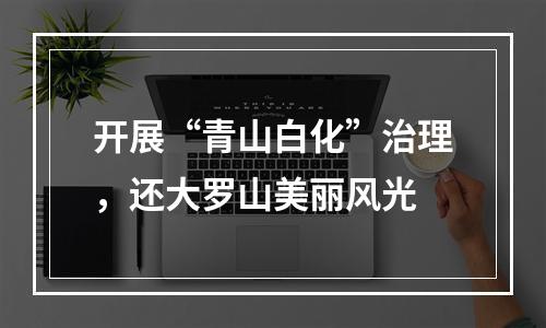 开展“青山白化”治理，还大罗山美丽风光