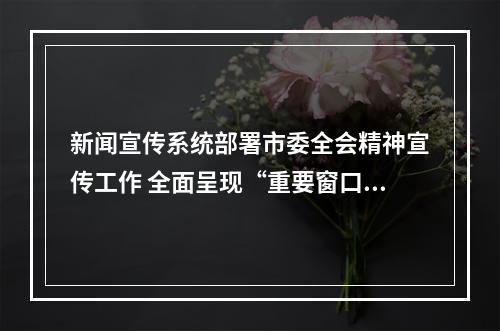 新闻宣传系统部署市委全会精神宣传工作 全面呈现“重要窗口”的温州胜景