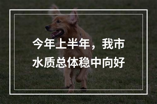 今年上半年，我市水质总体稳中向好