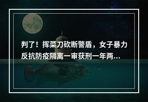 判了！挥菜刀砍断警盾，女子暴力反抗防疫隔离一审获刑一年两个月