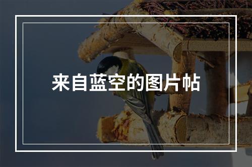 来自蓝空的图片帖