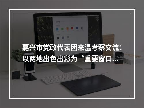 嘉兴市党政代表团来温考察交流：以两地出色出彩为“重要窗口”增光添彩