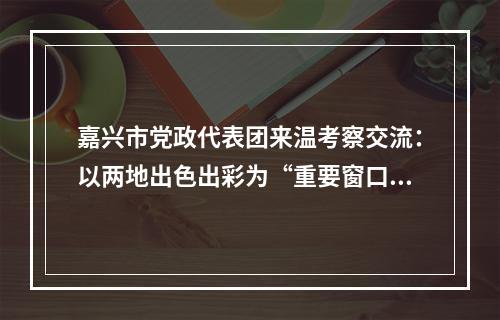 嘉兴市党政代表团来温考察交流：以两地出色出彩为“重要窗口”增光添彩