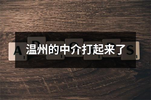 温州的中介打起来了