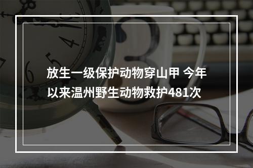 放生一级保护动物穿山甲 今年以来温州野生动物救护481次