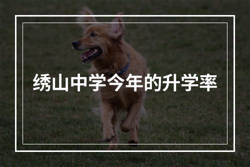 绣山中学今年的升学率