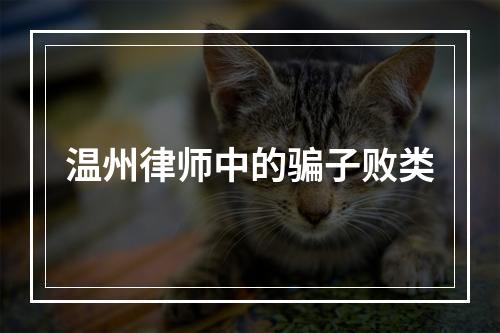 温州律师中的骗子败类