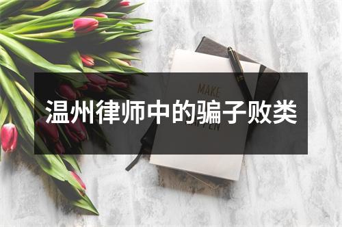 温州律师中的骗子败类