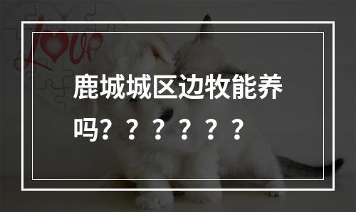 鹿城城区边牧能养吗？？？？？？