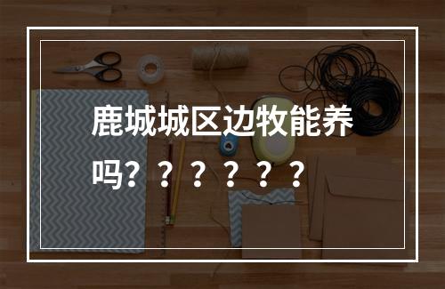 鹿城城区边牧能养吗？？？？？？