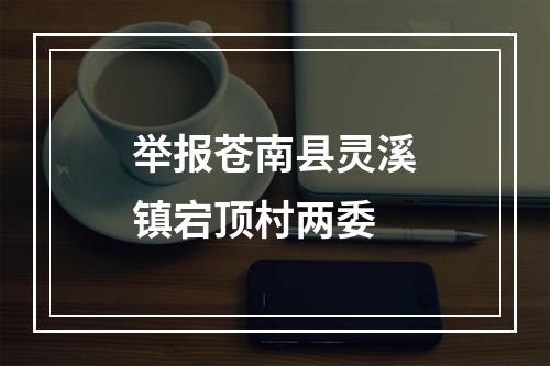 举报苍南县灵溪镇宕顶村两委