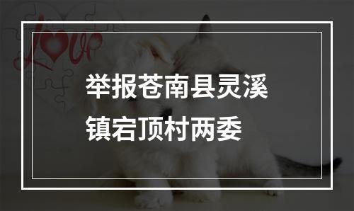 举报苍南县灵溪镇宕顶村两委