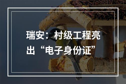 瑞安：村级工程亮出“电子身份证”