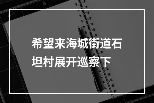 希望来海城街道石坦村展开巡察下