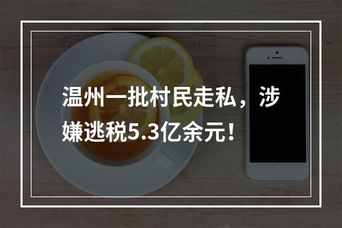 温州一批村民走私，涉嫌逃税5.3亿余元！