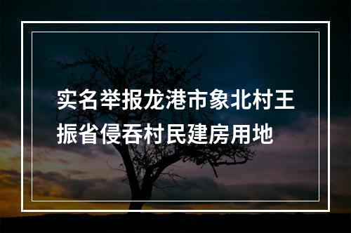 实名举报龙港市象北村王振省侵吞村民建房用地