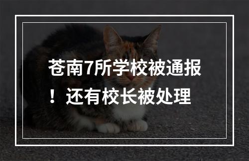 苍南7所学校被通报！还有校长被处理