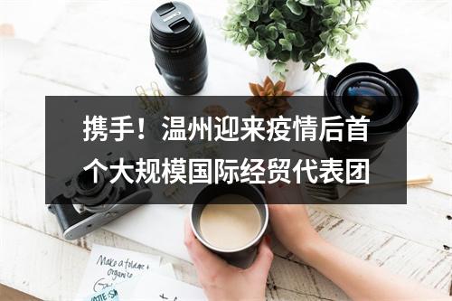 携手！温州迎来疫情后首个大规模国际经贸代表团