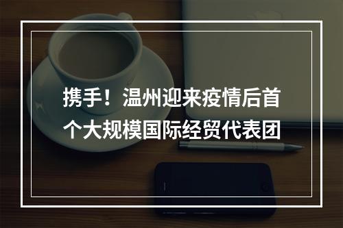 携手！温州迎来疫情后首个大规模国际经贸代表团