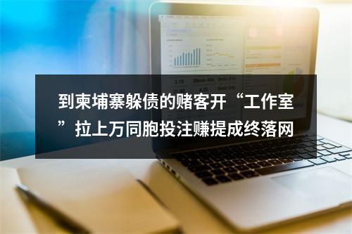 到柬埔寨躲债的赌客开“工作室”拉上万同胞投注赚提成终落网