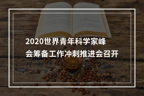 2020世界青年科学家峰会筹备工作冲刺推进会召开