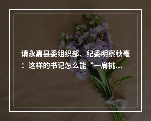 请永嘉县委组织部、纪委明察秋毫：这样的书记怎么能“一肩挑”？