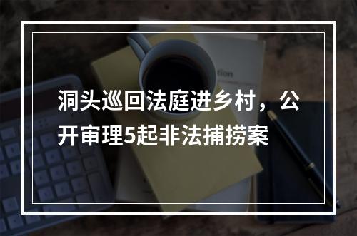 洞头巡回法庭进乡村，公开审理5起非法捕捞案