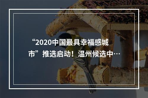 “2020中国最具幸福感城市”推选启动！温州候选中…