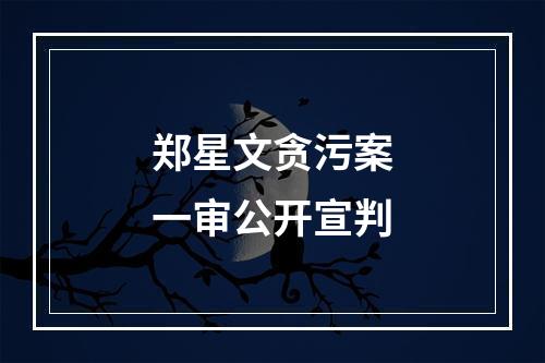 郑星文贪污案一审公开宣判