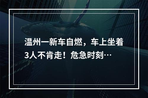 温州一新车自燃，车上坐着3人不肯走！危急时刻…