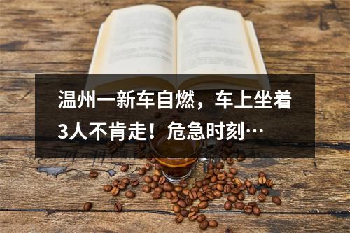 温州一新车自燃，车上坐着3人不肯走！危急时刻…