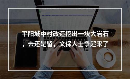 平阳城中村改造挖出一块大岩石，去还是留，文保人士争起来了