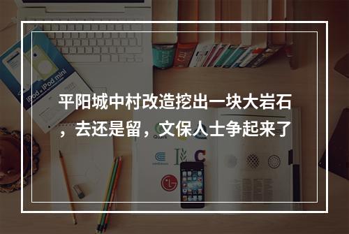 平阳城中村改造挖出一块大岩石，去还是留，文保人士争起来了